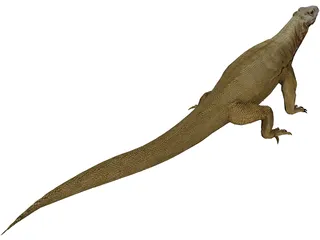 Komodo Dragon 3D Model preview