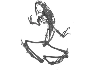 Frog Skeleton 3D Model preview