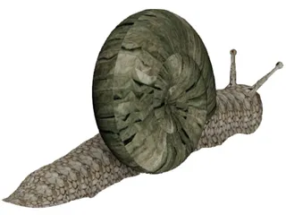Snail 3D Model preview