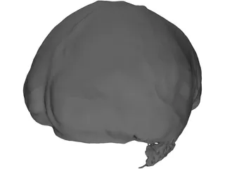 Brain 3D Model preview