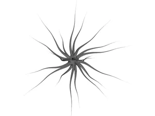 Neuron 3D Model preview