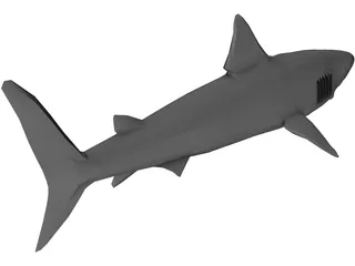 Shark Great White 3D Model preview