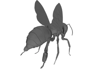 Bee 3D Model preview