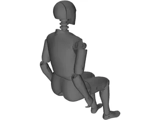 Crash Dummy 3D Model preview