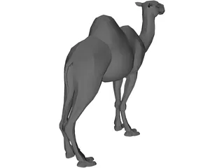 Camel 3D Model preview