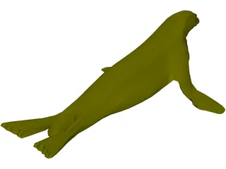 Seal 3D Model preview