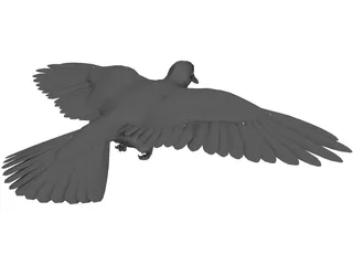 Dove 3D Model preview