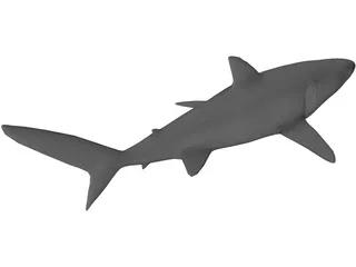 Blue Shark 3D Model preview