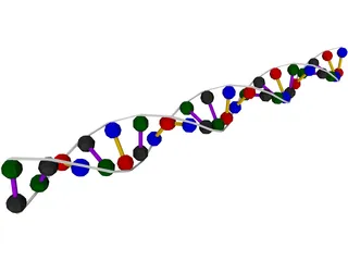 DNA Strand 3D Model preview