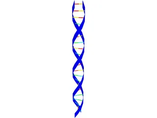 DNA Strand 3D Model preview