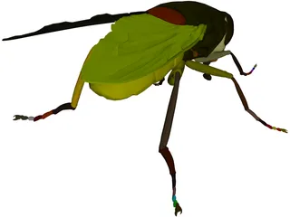 Fly 3D Model preview