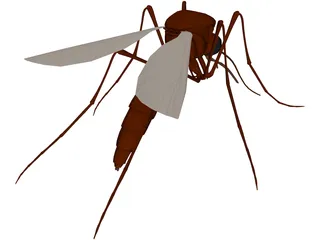 Mosquito 3D Model preview