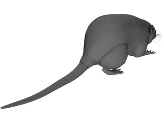 Rat 3D Model preview