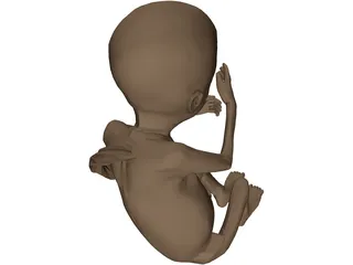Fetus 3D Model preview