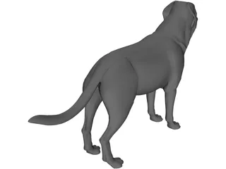 Dog 3D Model preview
