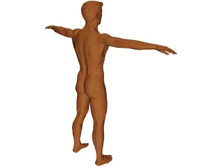 Man 3D Model preview