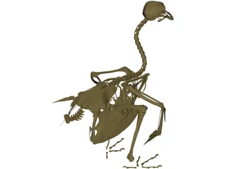 Pigeon Skeleton 3D Model preview