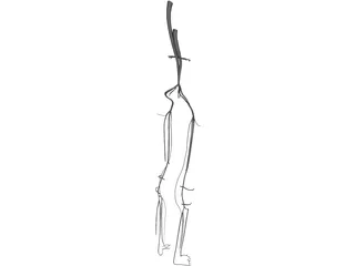 Veins and Arteries Lower 3D Model preview