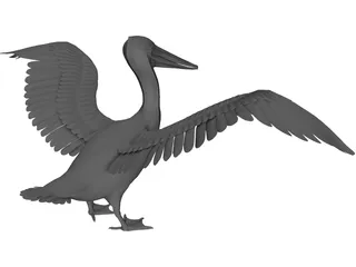 Pelican 3D Model preview