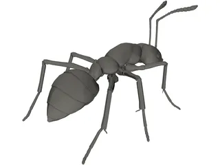 Ant 3D Model preview