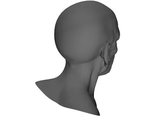 Man Head Old 3D Model preview