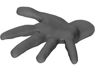 Open Hand 3D Model preview