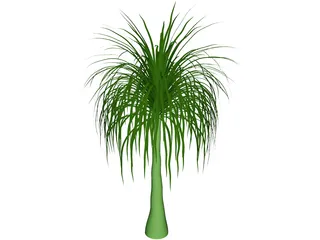 Palmera 3D Model preview