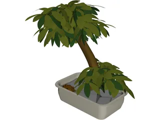 Small Tree 3D Model preview