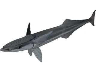 Remora 3D Model preview