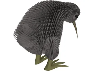 Kiwi Bird 3D Model preview