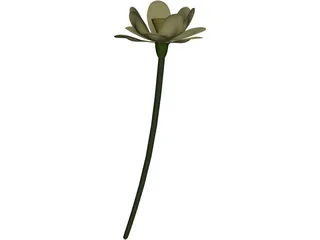 Lotus Flower (Nelumbo Lutea) 3D Model preview