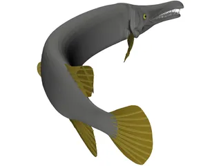 Alligator Gar (Atractosteus Spatula) 3D Model preview