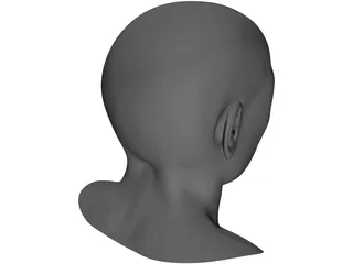 Samuel Head 3D Model preview