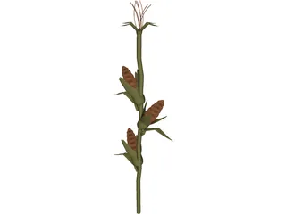 Corn Stalk 3D Model preview