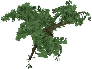Tree 3D Model preview