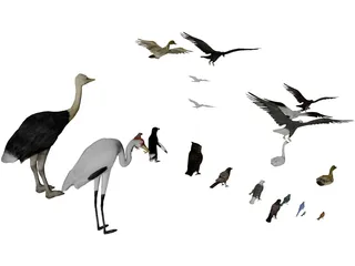 Birds Collection 3D Model preview