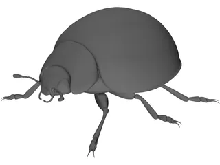 Ladybird 3D Model preview