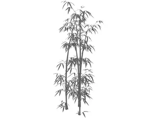 Bamboo Grove 3D Model preview