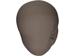 Human Head 3D Model preview
