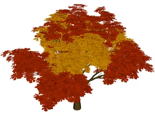 Chestnut Tree 3D Model preview