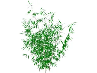 Bamboo 3D Model preview