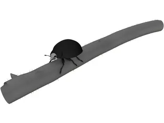 Lady Bug 3D Model preview