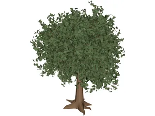 Oak Tree 3D Model preview