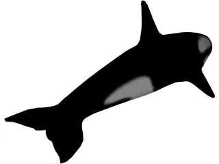 Orca 3D Model preview
