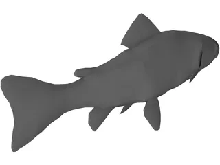 Rainbow Trout 3D Model preview
