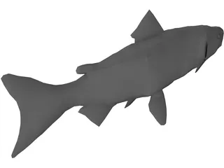Salmon 3D Model preview