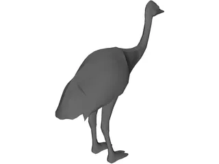 Ostrich 3D Model preview