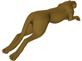 Cheeta 3D Model preview