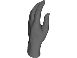 Hand 3D Model preview