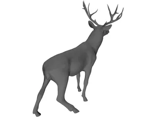 Stag 3D Model preview